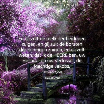 Picture 05 - Jesaja 60:16 NLD - En gij zult de melk der heidenen zuigen, en gij - Bible Verse Picture