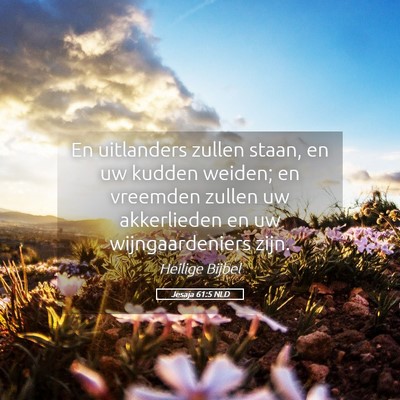 Picture 05 - Jesaja 61:5 NLD - En uitlanders zullen staan, en uw kudden weiden; - Bible Verse Picture