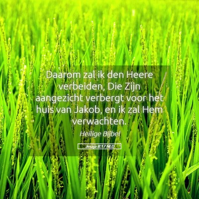 Picture 05 - Jesaja 8:17 NLD - Daarom zal ik den Heere verbeiden, Die Zijn - Bible Verse Picture