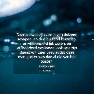 Picture 05 - Job 1:3 NLD - Daartoe was zijn vee zeven duizend schapen, en - Bible Verse Picture