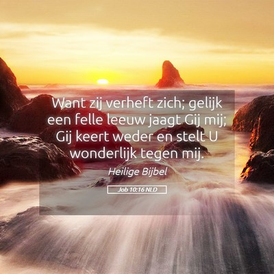 Picture 05 - Job 10:16 NLD - Want zij verheft zich; gelijk een felle leeuw - Bible Verse Picture