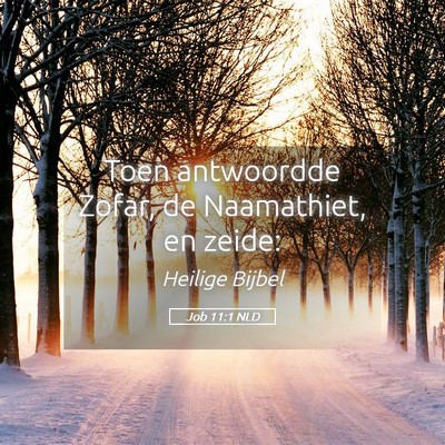 Picture 05 - Job 11:1 NLD - Toen antwoordde Zofar, de Naamathiet, en - Bible Verse Picture