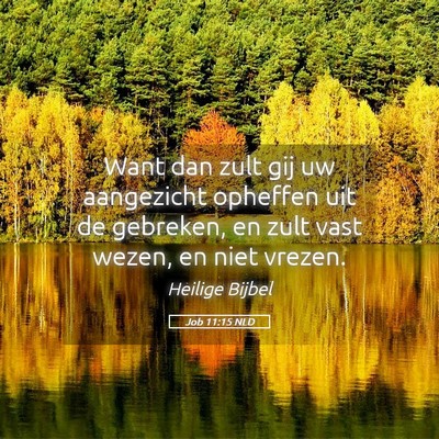 Picture 05 - Job 11:15 NLD - Want dan zult gij uw aangezicht opheffen uit de - Bible Verse Picture