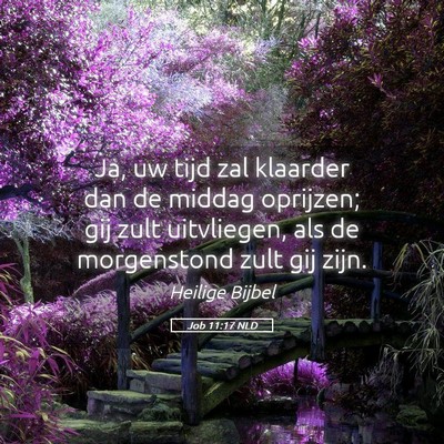 Picture 05 - Job 11:17 NLD - Ja, uw tijd zal klaarder dan de middag oprijzen; - Bible Verse Picture