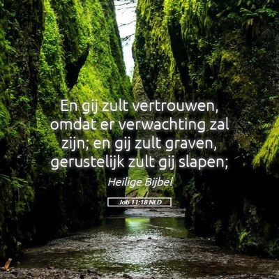 Picture 05 - Job 11:18 NLD - En gij zult vertrouwen, omdat er verwachting zal - Bible Verse Picture