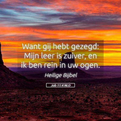 Picture 05 - Job 11:4 NLD - Want gij hebt gezegd: Mijn leer is zuiver, en ik - Bible Verse Picture