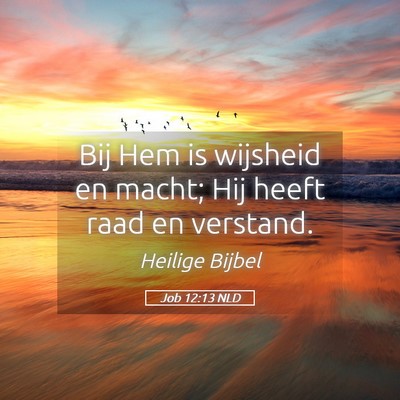 Picture 05 - Job 12:13 NLD - Bij Hem is wijsheid en macht; Hij heeft raad en - Bible Verse Picture