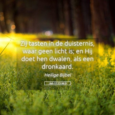 Picture 05 - Job 12:25 NLD - Zij tasten in de duisternis, waar geen licht is; - Bible Verse Picture