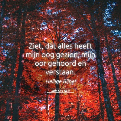 Picture 05 - Job 13:1 NLD - Ziet, dat alles heeft mijn oog gezien, mijn oor - Bible Verse Picture