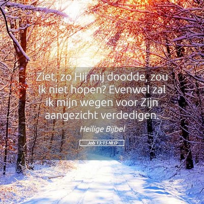 Picture 05 - Job 13:15 NLD - Ziet, zo Hij mij doodde, zou ik niet hopen? - Bible Verse Picture