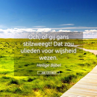 Picture 05 - Job 13:5 NLD - Och, of gij gans stilzweegt! Dat zou ulieden voor - Bible Verse Picture