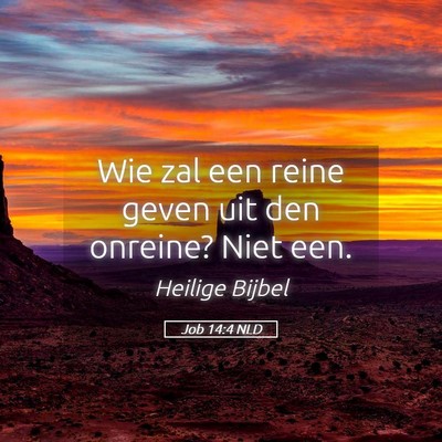Picture 05 - Job 14:4 NLD - Wie zal een reine geven uit den onreine? Niet - Bible Verse Picture