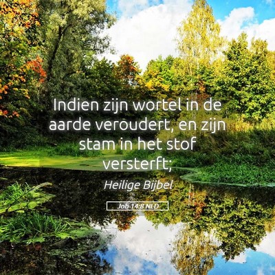 Picture 05 - Job 14:8 NLD - Indien zijn wortel in de aarde veroudert, en zijn - Bible Verse Picture