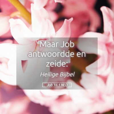 Picture 05 - Job 16:1 NLD - Maar Job antwoordde en - Bible Verse Picture