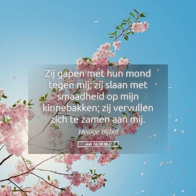 Picture 05 - Job 16:10 NLD - Zij gapen met hun mond tegen mij; zij slaan met - Bible Verse Picture