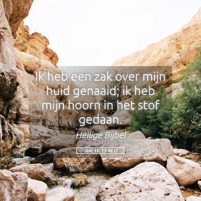 Picture 05 - Job 16:15 NLD - Ik heb een zak over mijn huid genaaid; ik heb - Bible Verse Picture