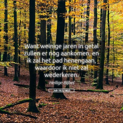 Picture 05 - Job 16:22 NLD - Want weinige jaren in getal zullen er nog - Bible Verse Picture