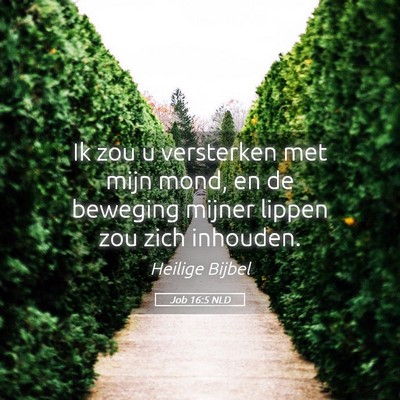 Picture 05 - Job 16:5 NLD - Ik zou u versterken met mijn mond, en de beweging - Bible Verse Picture