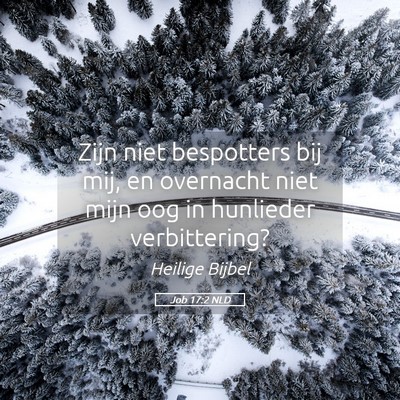 Picture 05 - Job 17:2 NLD - Zijn niet bespotters bij mij, en overnacht niet - Bible Verse Picture