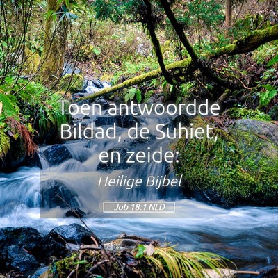 Picture 05 - Job 18:1 NLD - Toen antwoordde Bildad, de Suhiet, en - Bible Verse Picture