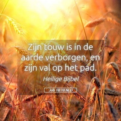 Picture 05 - Job 18:10 NLD - Zijn touw is in de aarde verborgen, en zijn val - Bible Verse Picture