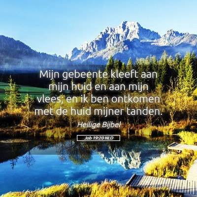 Picture 05 - Job 19:20 NLD - Mijn gebeente kleeft aan mijn huid en aan mijn - Bible Verse Picture