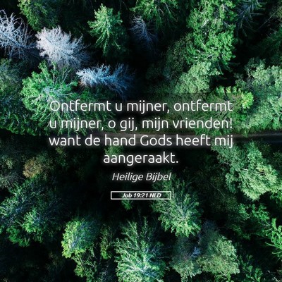 Picture 05 - Job 19:21 NLD - Ontfermt u mijner, ontfermt u mijner, o gij, mijn - Bible Verse Picture