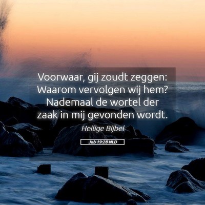 Picture 05 - Job 19:28 NLD - Voorwaar, gij zoudt zeggen: Waarom vervolgen wij - Bible Verse Picture