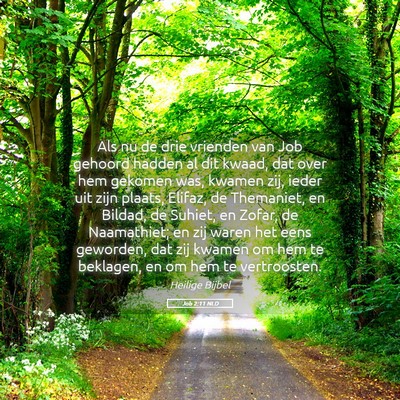 Picture 05 - Job 2:11 NLD - Als nu de drie vrienden van Job gehoord hadden al - Bible Verse Picture