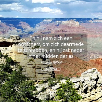 Picture 05 - Job 2:8 NLD - En hij nam zich een potscherf, om zich daarmede - Bible Verse Picture