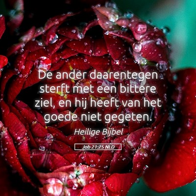 Picture 05 - Job 21:25 NLD - De ander daarentegen sterft met een bittere ziel, - Bible Verse Picture