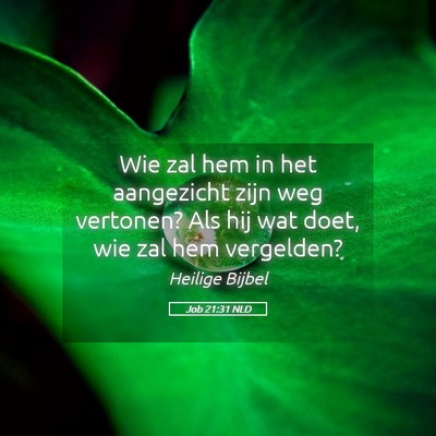 Picture 05 - Job 21:31 NLD - Wie zal hem in het aangezicht zijn weg vertonen? - Bible Verse Picture