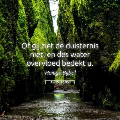 Picture 05 - Job 22:11 NLD - Of gij ziet de duisternis niet, en des water - Bible Verse Picture