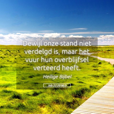 Picture 05 - Job 22:20 NLD - Dewijl onze stand niet verdelgd is, maar het vuur - Bible Verse Picture