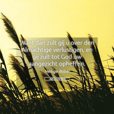 Picture 05 - Job 22:26 NLD - Want dan zult gij u over den Almachtige - Bible Verse Picture