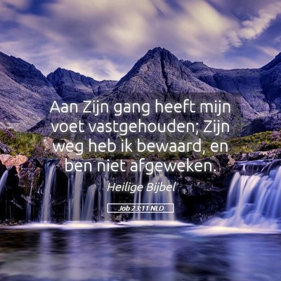 Picture 05 - Job 23:11 NLD - Aan Zijn gang heeft mijn voet vastgehouden; Zijn - Bible Verse Picture