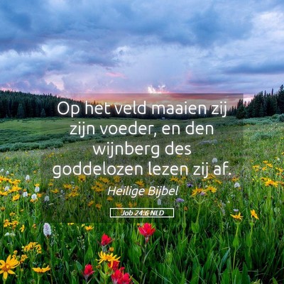 Picture 05 - Job 24:6 NLD - Op het veld maaien zij zijn voeder, en den - Bible Verse Picture