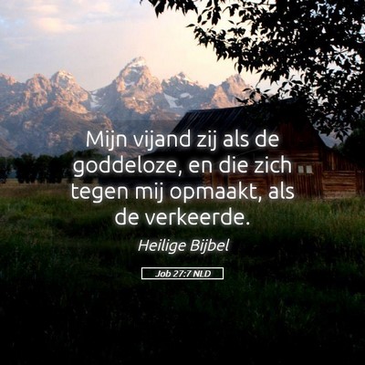 Picture 05 - Job 27:7 NLD - Mijn vijand zij als de goddeloze, en die zich - Bible Verse Picture