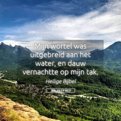 Picture 05 - Job 29:19 NLD - Mijn wortel was uitgebreid aan het water, en dauw - Bible Verse Picture