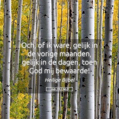 Picture 05 - Job 29:2 NLD - Och, of ik ware, gelijk in de vorige maanden, - Bible Verse Picture