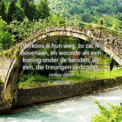 Picture 05 - Job 29:25 NLD - Verkoos ik hun weg, zo zat ik bovenaan, en woonde - Bible Verse Picture