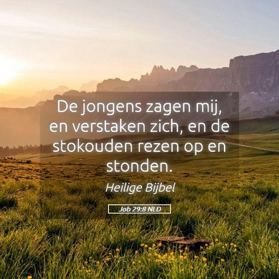 Picture 05 - Job 29:8 NLD - De jongens zagen mij, en verstaken zich, en de - Bible Verse Picture