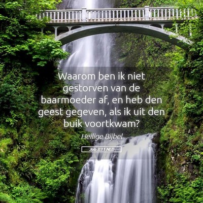 Picture 05 - Job 3:11 NLD - Waarom ben ik niet gestorven van de baarmoeder - Bible Verse Picture