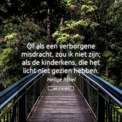 Picture 05 - Job 3:16 NLD - Of als een verborgene misdracht, zou ik niet - Bible Verse Picture