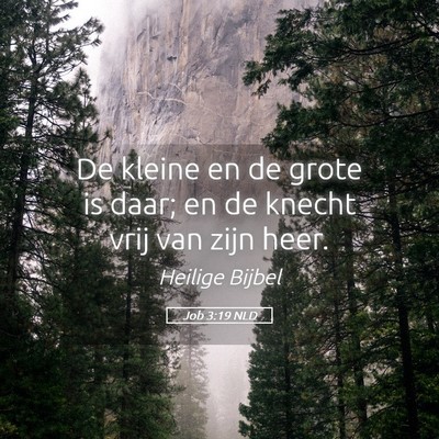 Picture 05 - Job 3:19 NLD - De kleine en de grote is daar; en de knecht vrij - Bible Verse Picture