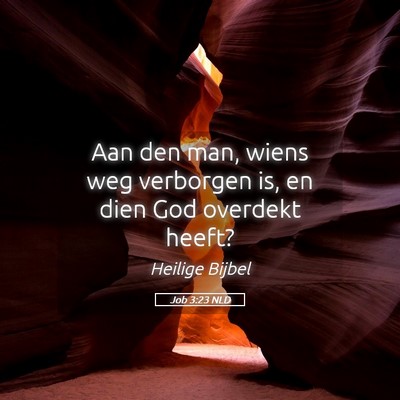 Picture 05 - Job 3:23 NLD - Aan den man, wiens weg verborgen is, en dien God - Bible Verse Picture