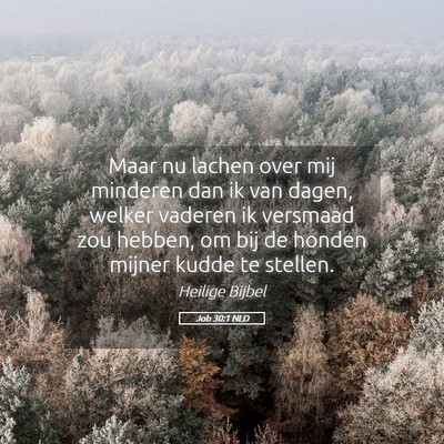 Picture 05 - Job 30:1 NLD - Maar nu lachen over mij minderen dan ik van - Bible Verse Picture