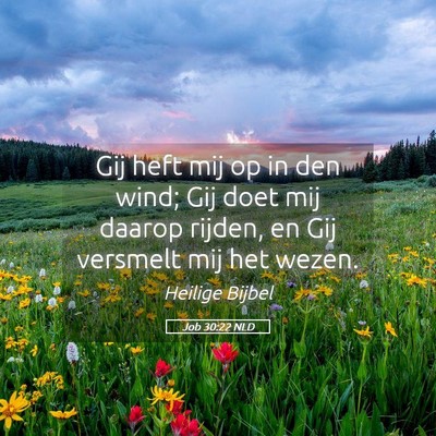 Picture 05 - Job 30:22 NLD - Gij heft mij op in den wind; Gij doet mij daarop - Bible Verse Picture