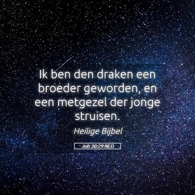 Picture 05 - Job 30:29 NLD - Ik ben den draken een broeder geworden, en een - Bible Verse Picture