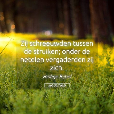 Picture 05 - Job 30:7 NLD - Zij schreeuwden tussen de struiken; onder de - Bible Verse Picture
